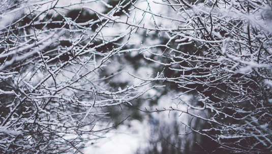 Be Winter Ready
