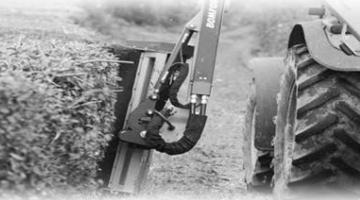 Hedge Cutting